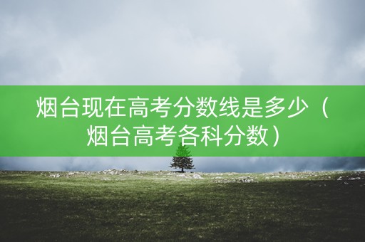 烟台现在高考分数线是多少（烟台高考各科分数）