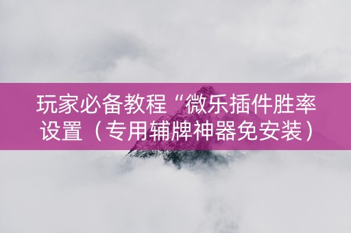 玩家必备教程“微乐插件胜率设置（专用辅牌神器免安装）
