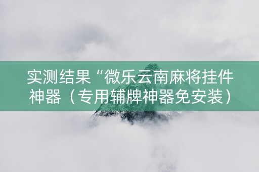 实测结果“微乐云南麻将挂件神器（专用辅牌神器免安装）