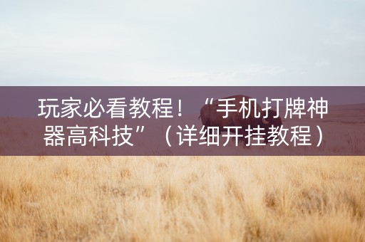 玩家必看教程！“手机打牌神器高科技”（详细开挂教程）-哔哩哔哩