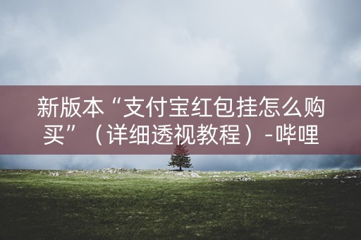 新版本“支付宝红包挂怎么购买”（详细透视教程）-哔哩哔哩