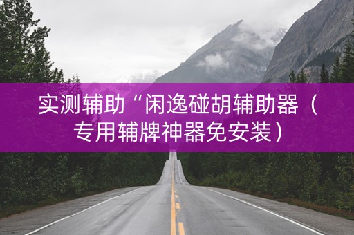 实测辅助“闲逸碰胡辅助器（专用辅牌神器免安装）
