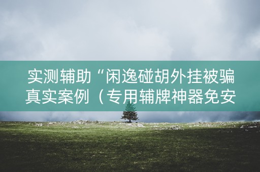 实测辅助“闲逸碰胡外挂被骗真实案例（专用辅牌神器免安装）