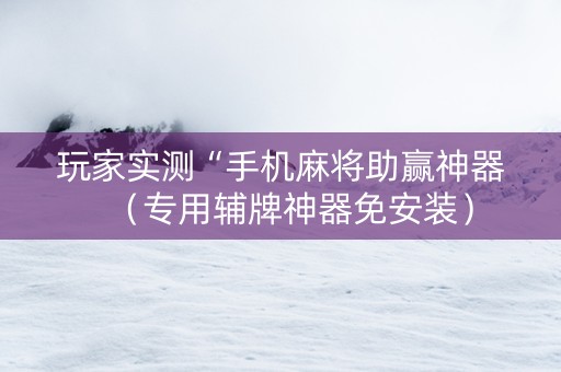 玩家实测“手机麻将助赢神器（专用辅牌神器免安装）