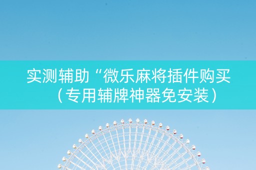 实测辅助“微乐麻将插件购买（专用辅牌神器免安装）