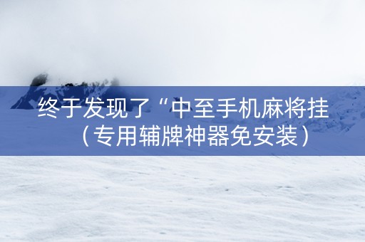 终于发现了“中至手机麻将挂（专用辅牌神器免安装）