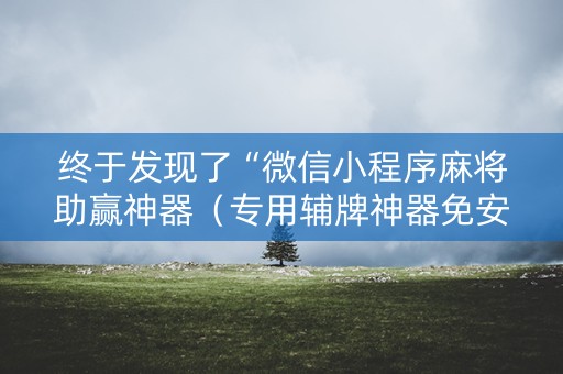 终于发现了“微信小程序麻将助赢神器（专用辅牌神器免安装）