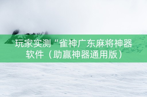 玩家实测“雀神广东麻将神器软件（助赢神器通用版）