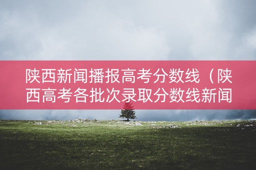 陕西新闻播报高考分数线（陕西高考各批次录取分数线新闻发布会）