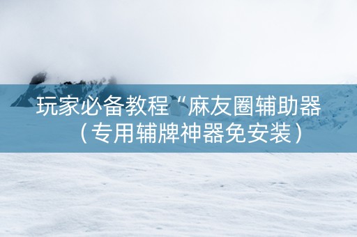 玩家必备教程“麻友圈辅助器（专用辅牌神器免安装）