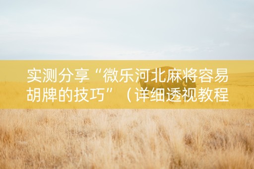 实测分享“微乐河北麻将容易胡牌的技巧”（详细透视教程）-哔哩哔哩