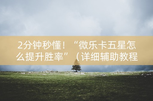 2分钟秒懂！“微乐卡五星怎么提升胜率”（详细辅助教程）-哔哩哔哩