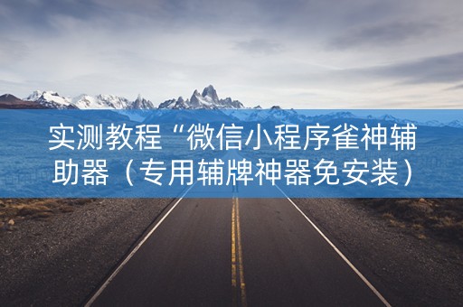 实测教程“微信小程序雀神辅助器（专用辅牌神器免安装）