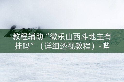 教程辅助“微乐山西斗地主有挂吗”（详细透视教程）-哔哩哔哩