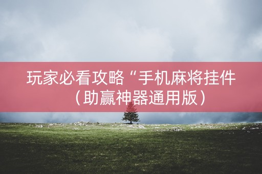 玩家必看攻略“手机麻将挂件（助赢神器通用版）