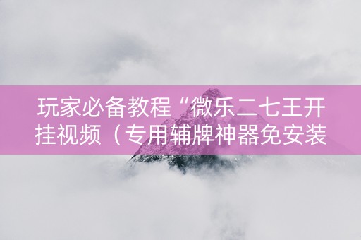 玩家必备教程“微乐二七王开挂视频（专用辅牌神器免安装）