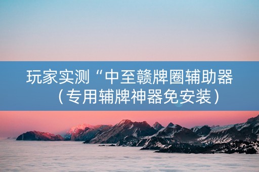 玩家实测“中至赣牌圈辅助器（专用辅牌神器免安装）