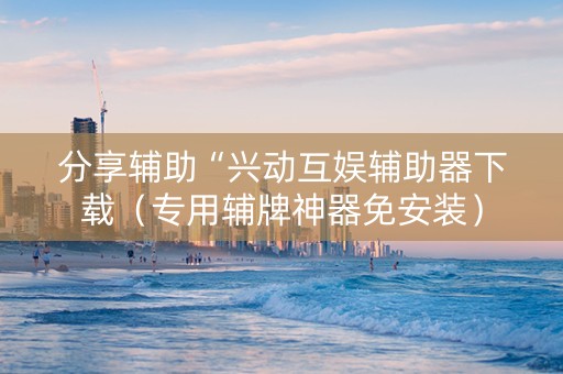 分享辅助“兴动互娱辅助器下载（专用辅牌神器免安装）