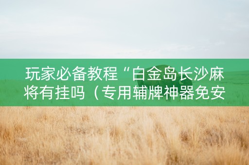 玩家必备教程“白金岛长沙麻将有挂吗（专用辅牌神器免安装）