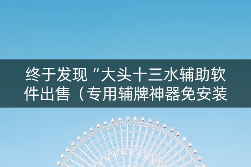 终于发现“大头十三水辅助软件出售（专用辅牌神器免安装）
