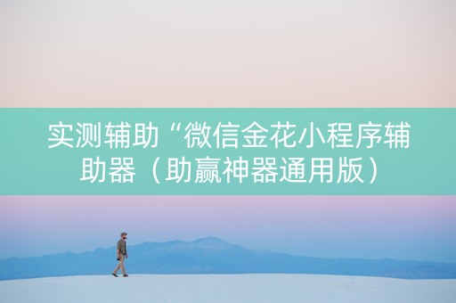实测辅助“微信金花小程序辅助器（助赢神器通用版）