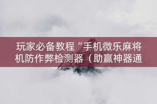 玩家必备教程“手机微乐麻将机防作弊检测器（助赢神器通用版）