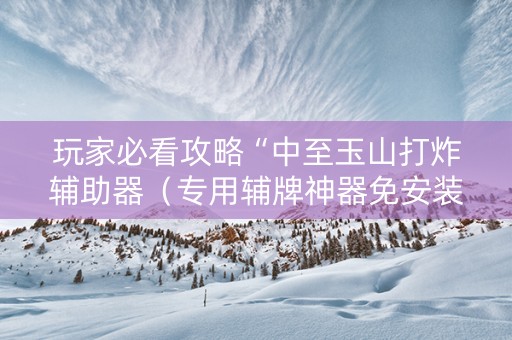 玩家必看攻略“中至玉山打炸辅助器（专用辅牌神器免安装）