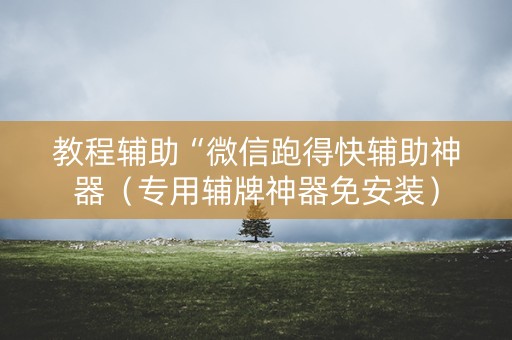 教程辅助“微信跑得快辅助神器（专用辅牌神器免安装）