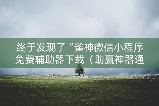 终于发现了“雀神微信小程序免费辅助器下载（助赢神器通用版）