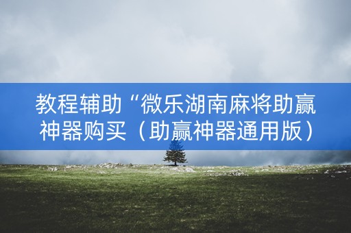 教程辅助“微乐湖南麻将助赢神器购买（助赢神器通用版）
