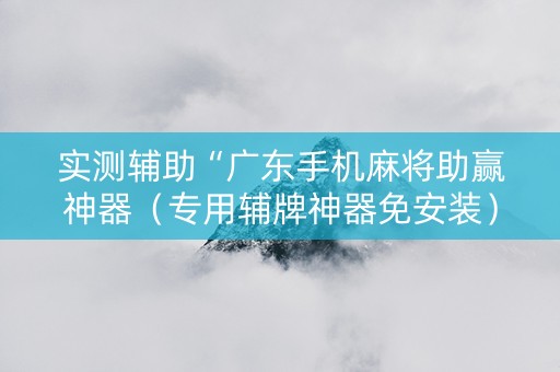 实测辅助“广东手机麻将助赢神器（专用辅牌神器免安装）