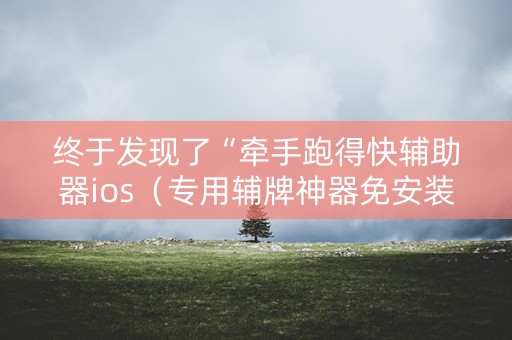 终于发现了“牵手跑得快辅助器ios（专用辅牌神器免安装）