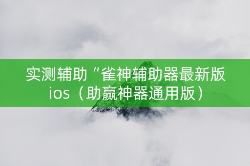 实测辅助“雀神辅助器最新版ios（助赢神器通用版）