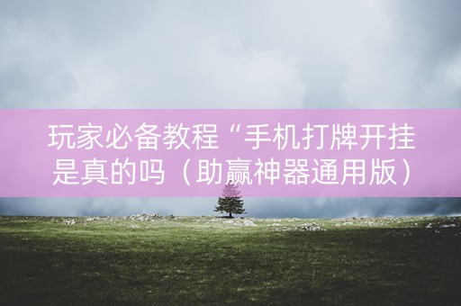 玩家必备教程“手机打牌开挂是真的吗（助赢神器通用版）