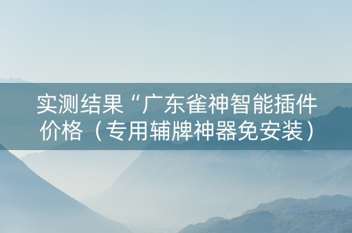 实测结果“广东雀神智能插件价格（专用辅牌神器免安装）