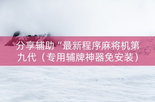 分享辅助“最新程序麻将机第九代（专用辅牌神器免安装）