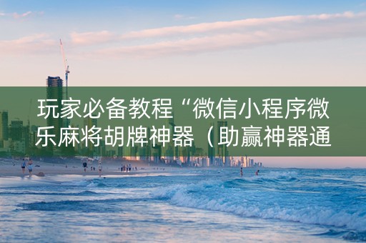 玩家必备教程“微信小程序微乐麻将胡牌神器（助赢神器通用版）