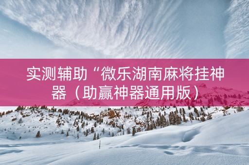 实测辅助“微乐湖南麻将挂神器（助赢神器通用版）