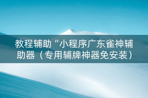 教程辅助“小程序广东雀神辅助器（专用辅牌神器免安装）