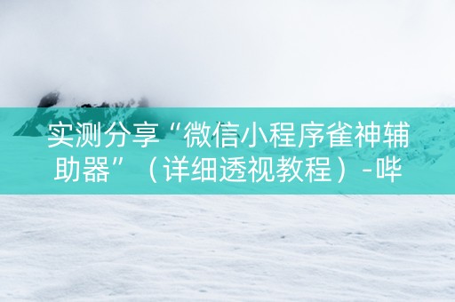 实测分享“微信小程序雀神辅助器”（详细透视教程）-哔哩哔哩