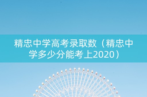 精忠中学高考录取数（精忠中学多少分能考上2020）