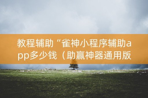 教程辅助“雀神小程序辅助app多少钱（助赢神器通用版）