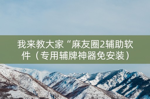 我来教大家“麻友圈2辅助软件（专用辅牌神器免安装）