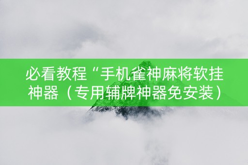 必看教程“手机雀神麻将软挂神器（专用辅牌神器免安装）