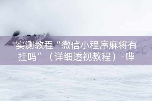 实测教程“微信小程序麻将有挂吗”（详细透视教程）-哔哩哔哩