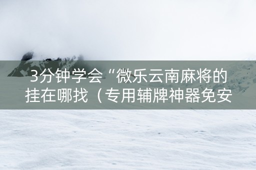 3分钟学会“微乐云南麻将的挂在哪找（专用辅牌神器免安装）
