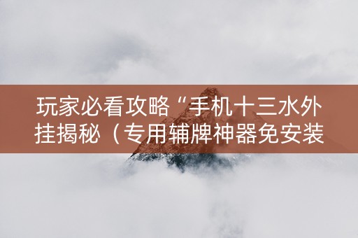 玩家必看攻略“手机十三水外挂揭秘（专用辅牌神器免安装）