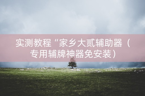 实测教程“家乡大贰辅助器（专用辅牌神器免安装）