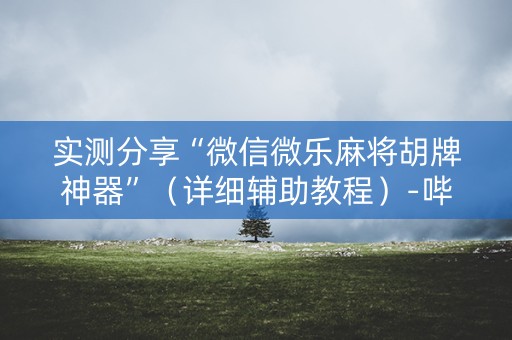 实测分享“微信微乐麻将胡牌神器”（详细辅助教程）-哔哩哔哩