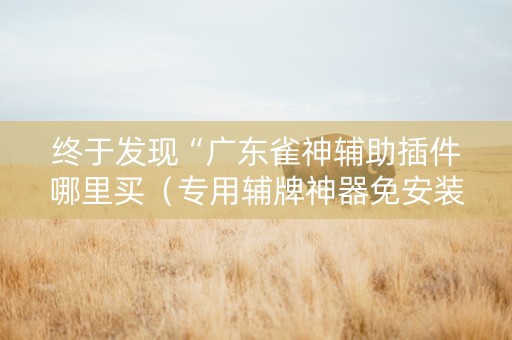 终于发现“广东雀神辅助插件哪里买（专用辅牌神器免安装）